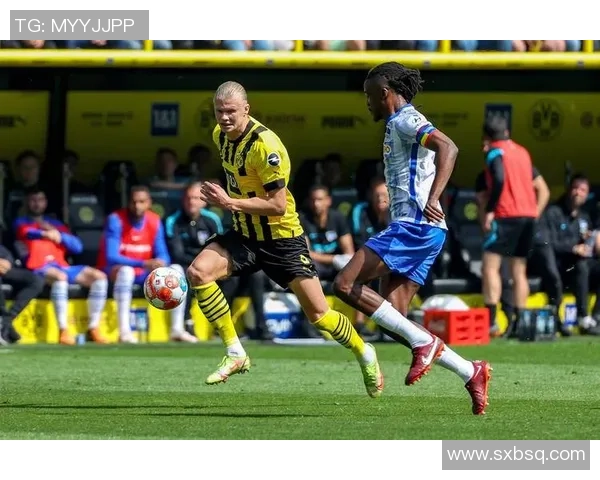 以多特蒙德为核心探索德国足球文化与球队发展历程的全景视角