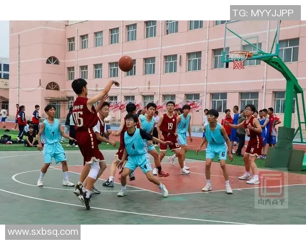 以篮球为纽带探索团队协作与青春激情的力量