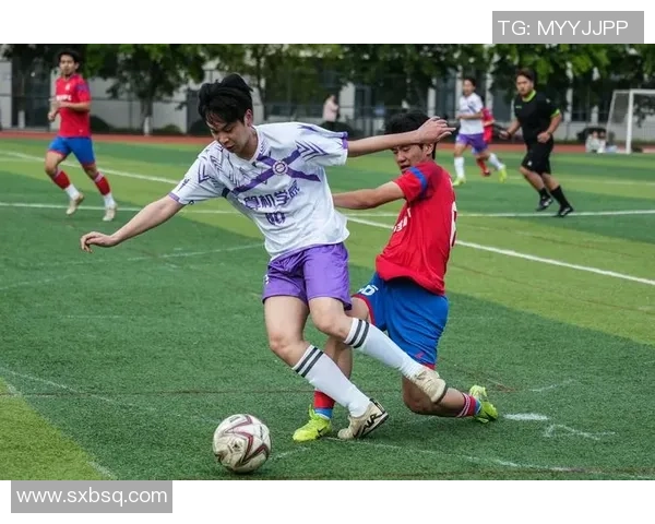 全方位解读体育精神与竞技发展对社会文化的深远影响