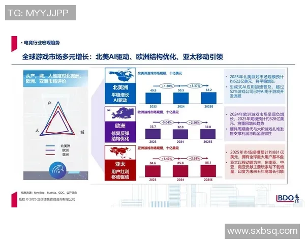 全球电竞产业崛起推动青年文化与数字竞技融合发展趋势分析