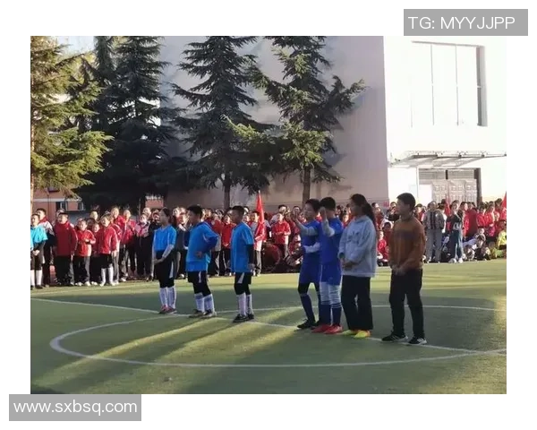 聚焦竞技盛宴 探寻赛场背后的奋斗与激情